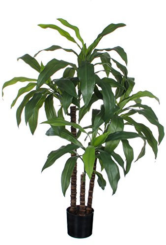 MICA Decorations Dracaena Kunstpflanze - H100 x Ø70 cm - Grün