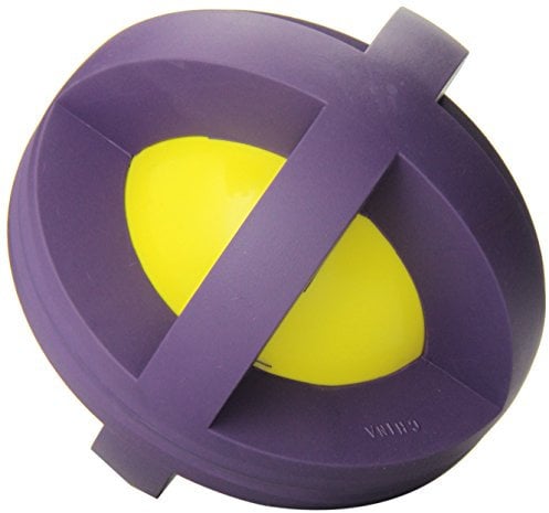 Happy Pet Boingo Ball Dog Toy - Large (Assorted)