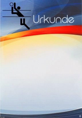 Albert Hoffmann Urkundenverlag Volleyball / 720/552 / / PC-Urkunden (170 g/m²) 10 Stk