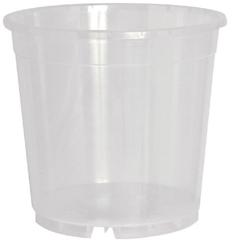 Geli 10er Set Orchid Pot Transparent Clear 17 cm Austerity Package