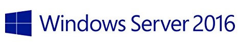 Fujitsu S26361-F2567-L561 Windows Server 2016 1 User Access License