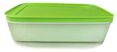 TUPPERWARE Gefrier-Behälter 1,0 L weiß grün flach Eis-Kristall G36 Eiskristall