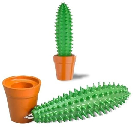 Stylo plante cactus et 1 pot