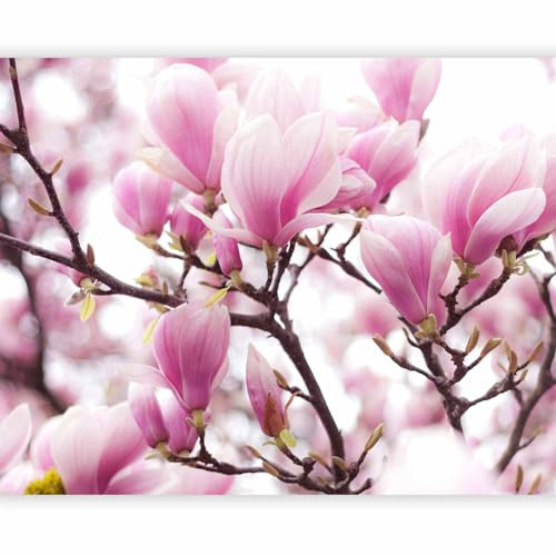 Fototapete - Tapete rosa Magnolie 200x154cm - Foto Tapete Schlafzimmer Wohnzimmer Moderne Vliestapete XXL Wandtapete Motivtapeten Bildtapete 3d Effekt Wand Dekoration - Blumen Baum Natur Pflanzenmotiv