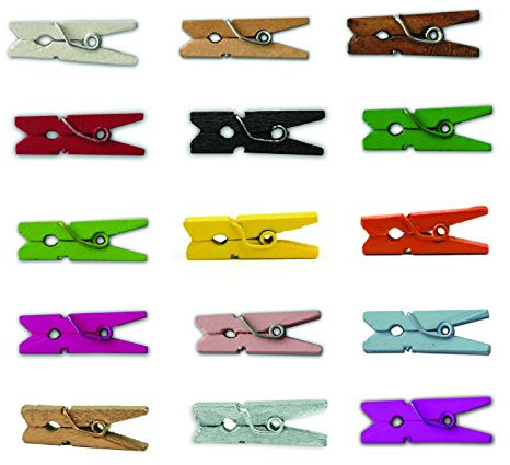 LWR CRAFTS Mini pinces à linge en bois 15 couleurs 100 par paquet 1 2,5 cm (toutes)