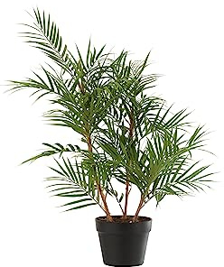 J-Line Palmier En Pot Plastique Vert/Noir Small