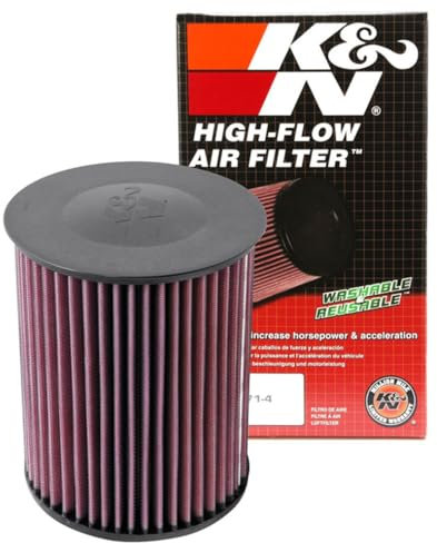 K&N E-2993 Filtri Aria Sostitutivi Auto, Lavabile e Riutilizzabile