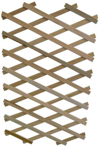 Apollo Expanding Wooden Trellis with Robust Plant Support
