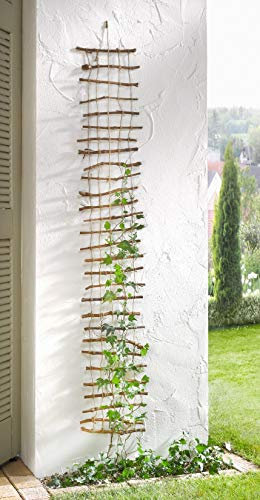 Treillis décoratif en corde de riz et chanvre, 25 x 150 cm, aide à grimper, échelle en tricot, décoration de jardin