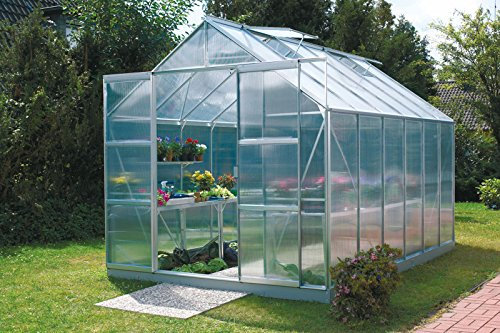 Vitavia Gewächshaus Uranus - Ausführung:9900 HKP 6 mm Alu, Fläche:ca. 9,9 m², Fenster:4, Maße:257 x 383 cm, Sockel:255 x 379 cm,