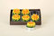6er-Pack Dekoteelichter Seerose, gelb-orange-grün