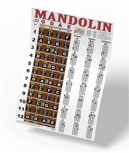 Mandoline Classic Style Easy Chord & Griffbrett Notizdiagramm Anleitung Poster für Anfänger Akkorde & Noten A New Song Music 27,9 x 43,2 cm