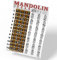 Mandoline Classic Style Easy Chord & Griffbrett Notizdiagramm Anleitung Poster für Anfänger Akkorde & Noten A New Song Music 27,9 x 43,2 cm