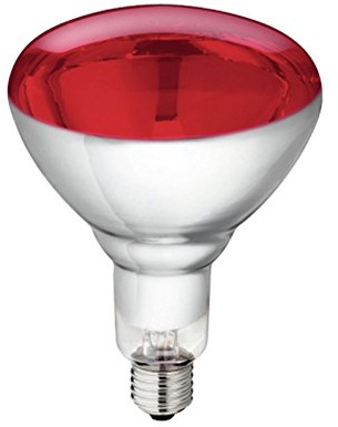 5 Stück Hartglas Infrarotbirne Philips 250 Watt rot E 27 Glühbirne Leuchtmittel für Rotlicht Wärmelampe Wärmestrahler Infrarotlampe Infrarotstrahler