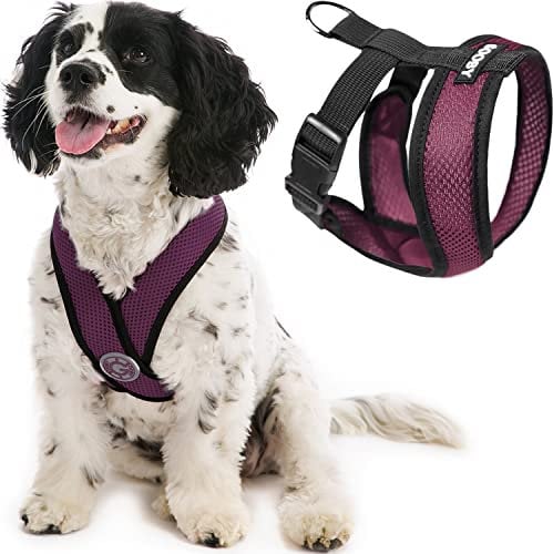 Gooby Comfort X Hundegeschirr zum Ziehen über den Kopf, komfortabel, kein Ziehen, für kleine bis mittelgroße Hunde, Würgeschutz, X-Design, für unterwegs, für Innen- und Außenbereich, Größe L, Lila