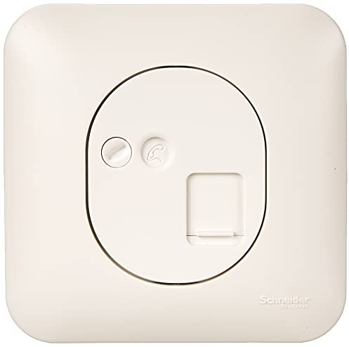 Schneider Electric S260471 Prise RJ45 pour téléphone et informatique Ovalis complet
