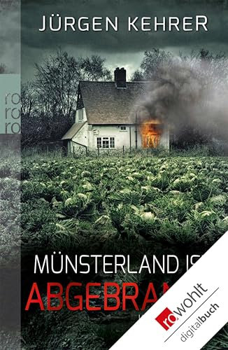 Münsterland ist abgebrannt (Die Münster-Krimis mit Kommissar Matt 1)