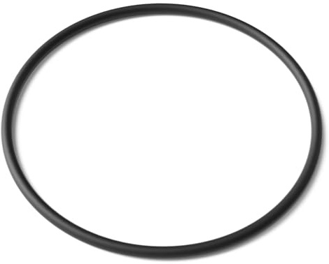 SunSun Ersatzteil für CUV-272 Teichklärer – O-Ring – für Teichfilter, UV Leuchtmittel, UVC Klärer Zubehör