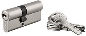 THIRARD - Cylindre de Serrure Double Entrée Trafic 6 - Nickel - Haute Sécurité - Anti-Arrachement, Anti-Perçage, Anti-Crochetage - 30 x 40 mm - 5 Clés Plates Réversibles