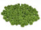 Rosen 15 mm x 20 Stück Satinrosen Aufnäher Deko Blumen Röschen zum Basteln Haarschmuck kleine Rosenköpfe Farbe: dunkel lindgrün 548