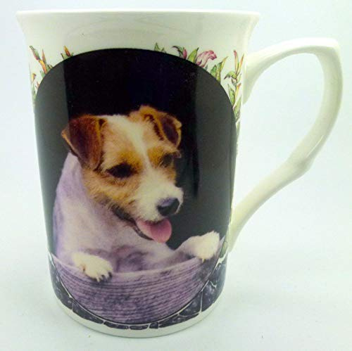 The Plate Collectors Shop Jack Russell FINE Bone China 10 0Z Mug ~ Hand Decorated in Stoke ON Trent