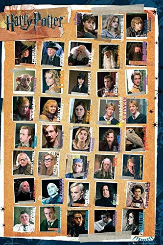 Unbekannt MoviePostersDirect Poster de Harry Potter et The Deathly Hallows Part 1 (61 x 91,5 cm)