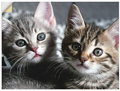 ARTland Wanddeko Wandtattoo selbstklebende Vinylfolie 40x30 cm Katze Tiere Katzenbaby Baby Süß Lustig Mädchen T5TN