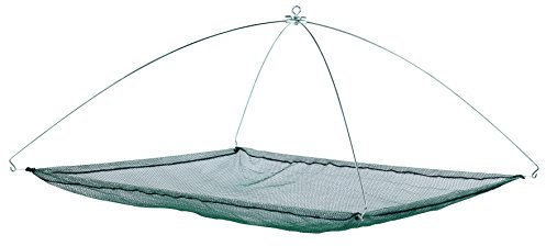 Balzer Fischen Netz, Grün, Nylon, 200 cm, 8 mm, Wurfnetz, Zusammenklappbar, Kunststoffgriff, Gummihandgriff