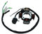 Anker, Ankerplatte, Lichtmaschine für Pegasus Sky I, Sky II, Corona, R, S, Skipper, Solero, TGB / Winking Akros, Bullet, F409, Hawk 25 / 50 mit Pickup Spule