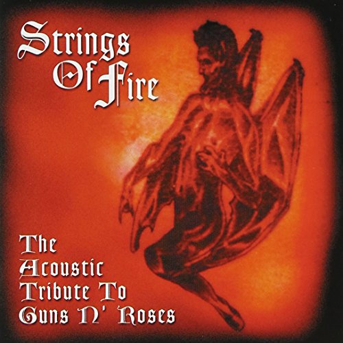 The Acoustic Tribute to Guns N Roses