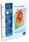 Exacompta Kreacover Ref 51968E Classeur polypropylène Transparent 4 anneaux A4 15 mm Pack 12 (Import Royaume Uni)