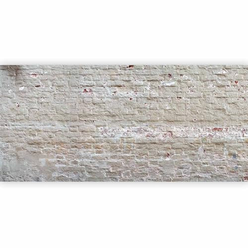 murando - Fototapete XXL Ziegelstein 600x280cm- Foto Tapete Schlafzimmer Wohnzimmer Vliestapete XXL Wandtapete Motivtapeten Bildtapete 3d Effekt Wand Dekoration - Ziegel Ziegelmauer f-A-0507-x-f