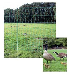 Göbel Weidezaun Euro Netz Geflügel 25m lang 112cm hoch nicht stromführend 9 Pfähle Einzelspitze grün