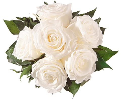 Blumenstrauss konserviert mit 6 Rosen - Rosemarie Schulz (Weiss)