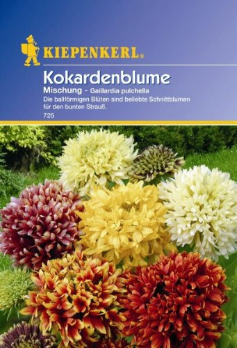 Kiepenkerl Gaillardia Mischung