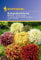 Kiepenkerl Gaillardia Mischung