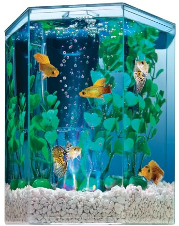 Tetra Bubbling LED Aquarium Kit 1 Gallon, Hexagon Shape, With Color-Changing Light Disc