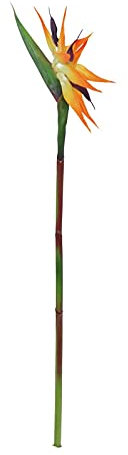 EUROPALMS Paradiesvogel-Blume, Kunstpflanze, orange, 95cm | Als Einzeldekoration oder in Kombination mit Anderen Grünpflanzen