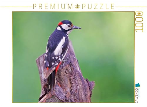 CALVENDO Puzzle Buntspecht | 1000 Teile Lege-Größe 64 x 48 cm Foto-Puzzle für glückliche Stunden