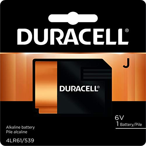 Duracell - AAAA 1.5V Specialty Alkaline Battery - long-lasting battery - 2 Count (Pack of 1)
