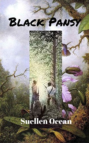 Black Pansy (Civil War Era Romance Book 1)