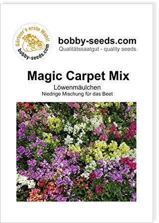 Blumensamen Magic Carpet Mix Löwenmäulchen Portion