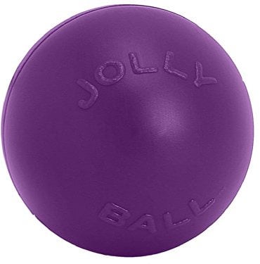 Jolly Pets Push-n-Play Ball Dog Toy, 14 Inches/Extra-Large, Purple,All Breed Sizes