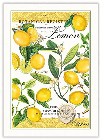 Michel Design Works Lemon Kitchen Towel, Natural Woven Cotton