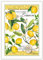 Michel Design Works Lemon Kitchen Towel, Natural Woven Cotton