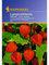 Physalis alkekengi Lampionblume Gigantea
