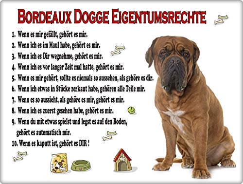 Merchandise for Fans Blechschild/Warnschild/Türschild - Aluminium - 15x20cm Eigentumsrechte Motiv: Bordeaux Dogge Französischer Mastiff - 03