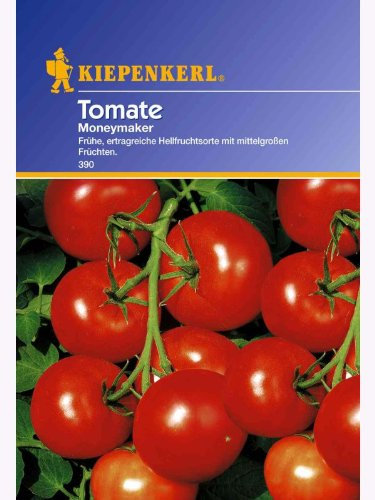 Kiepenkerl Aromatische Runde Tomaten Moneymaker