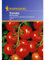 Kiepenkerl Aromatische Runde Tomaten Moneymaker