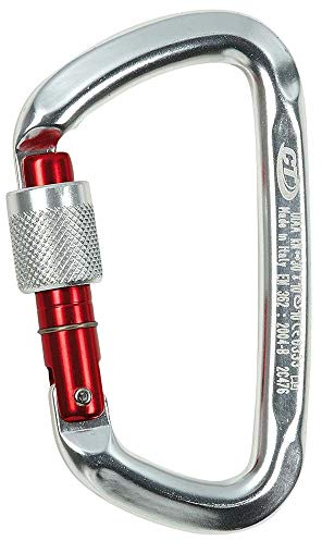 Climbing Technology D-Shape SG Carabiner silver/reed gate 2017 Karabiner